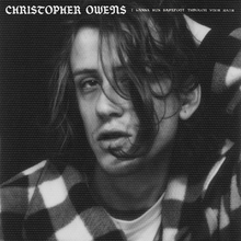 Load image into Gallery viewer, Christopher Owens - I Wanna Run Barefoot Through Your Hair (Clear Vinyl)
