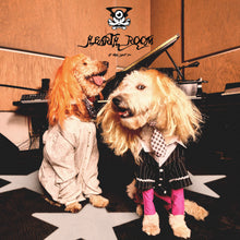 Load image into Gallery viewer, Frost Children - Hearth Room (Gold Cassette)
