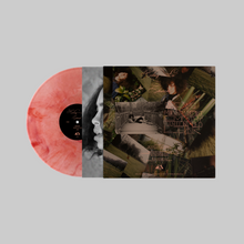 Load image into Gallery viewer, [PREORDER] Kelsey Lu - Church Strawberry Pink Vinyl [SEPT 25]
